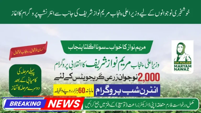 Chief Minister Internship Program Launch For Undergraduate Students - All Details