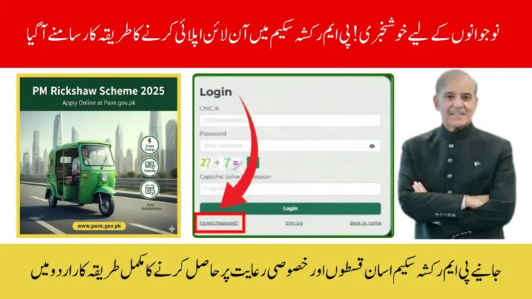 PM Rickshaw Scheme 2025 Apply Online via Pave.gov.pk